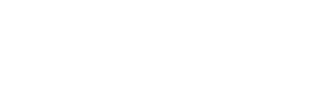 Logo Day Pharma